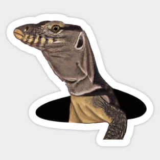 Cute Monitor Lizard Drawing Sticker